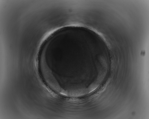 X0000100381319200807031916