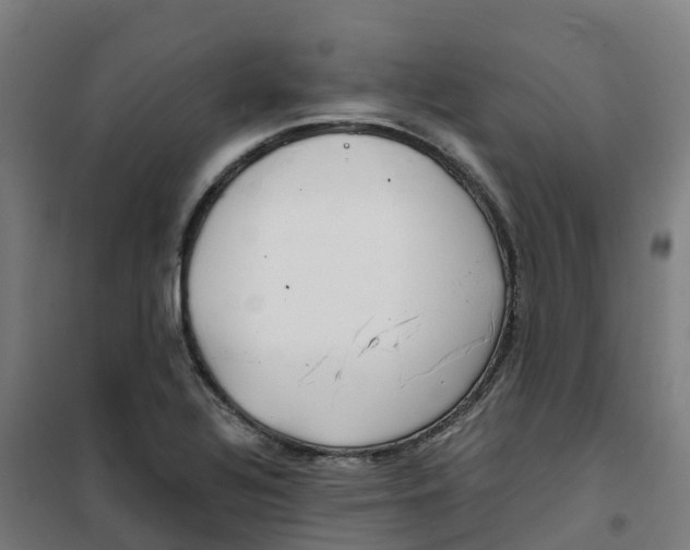 X0000100381320200807031916
