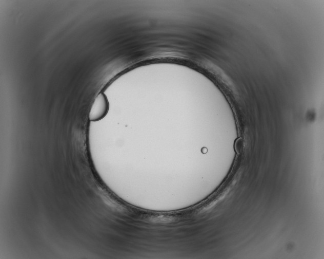 X0000100381321200807031916