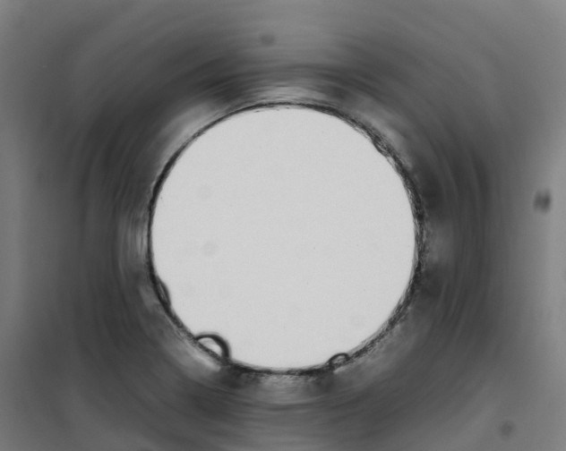 X0000100381322200807031916