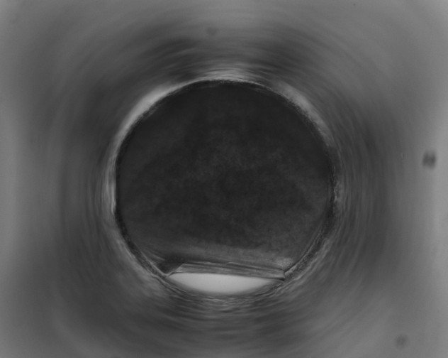 X0000100381323200807031916