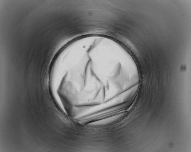 X0000100381324200807031916