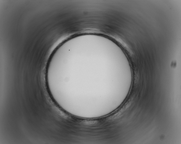X0000100381325200807031916
