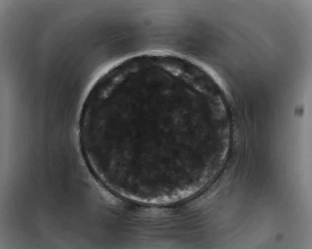 X0000100381327200807031916