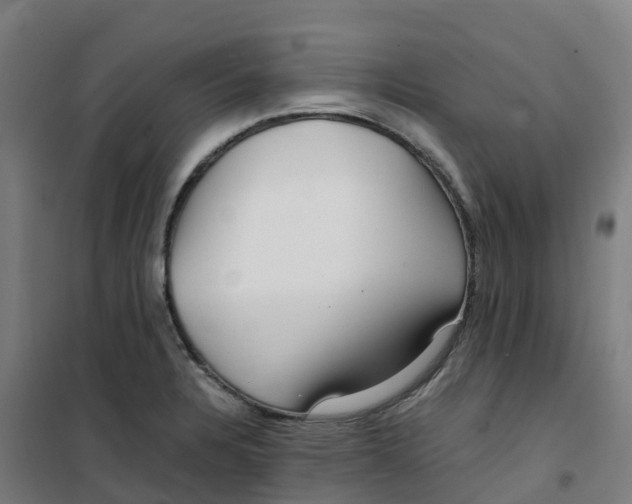 X0000100381328200807031916