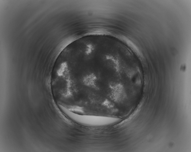X0000100381329200807031916
