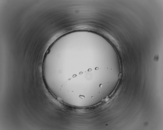 X0000100381330200807031916