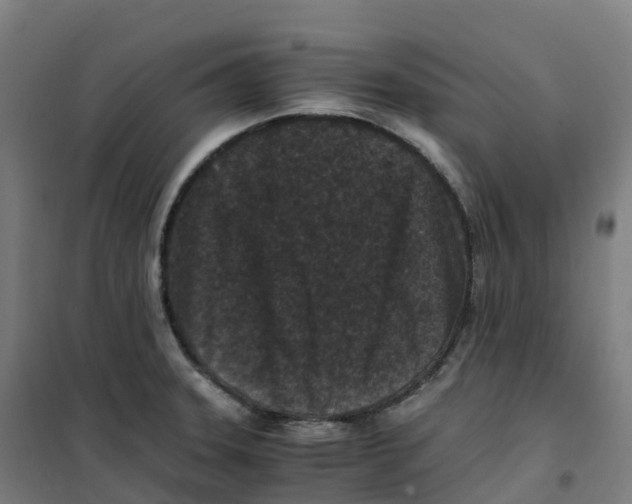 X0000100381331200807031916