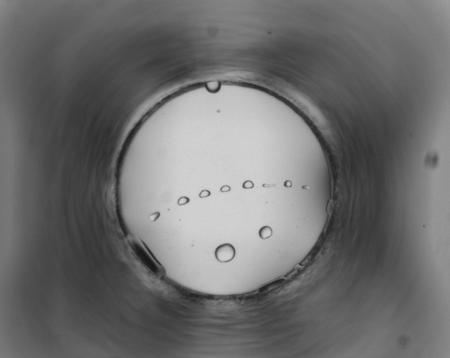 X0000100381332200807031916