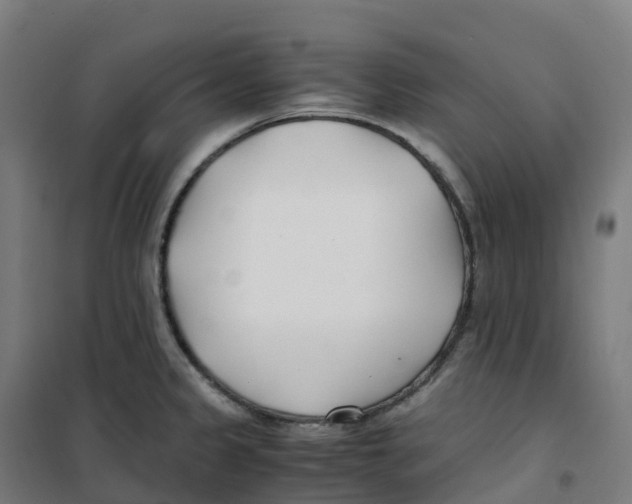 X0000100381333200807031916