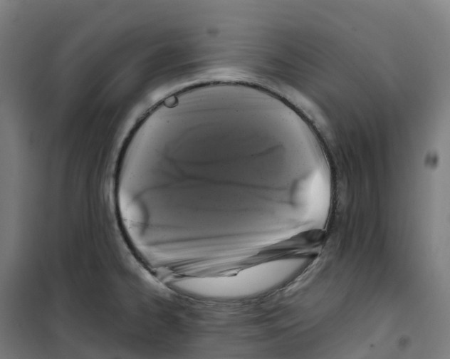 X0000100381334200807031916