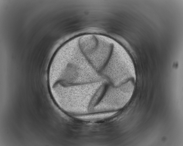 X0000100381335200807031916