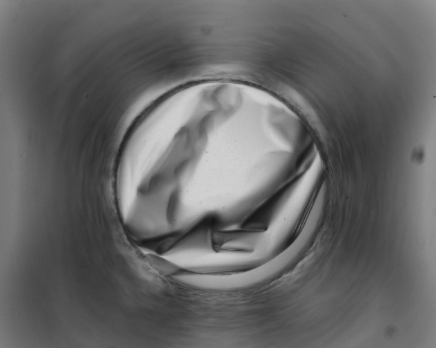 X0000100381336200807031916