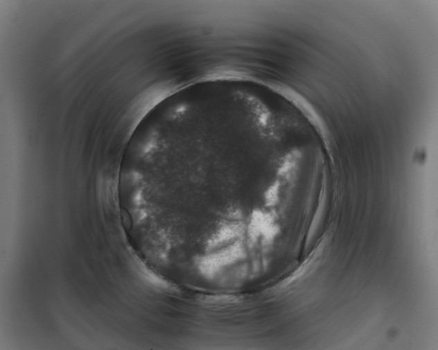 X0000100381337200807031916