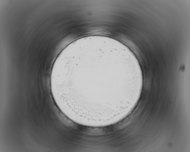 X0000100381338200807031916