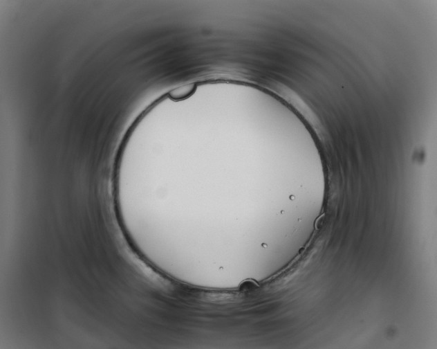 X0000100381339200807031916