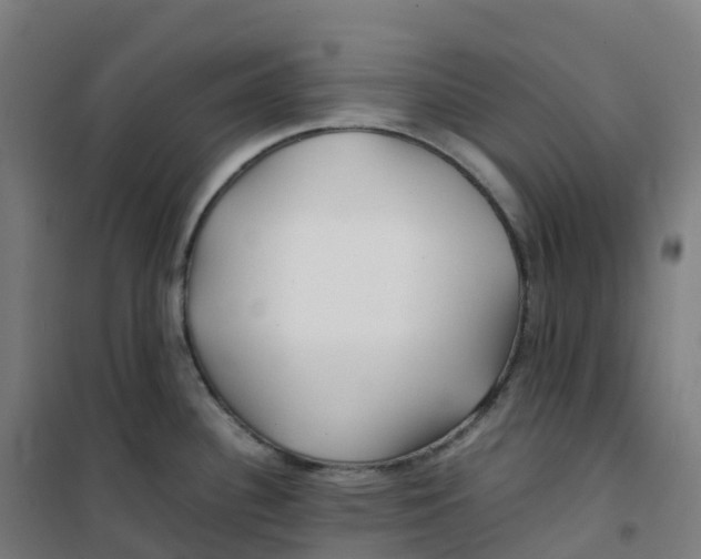 X0000100381340200807031916