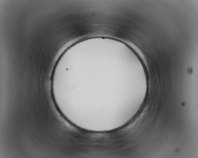 X0000100381341200807031916