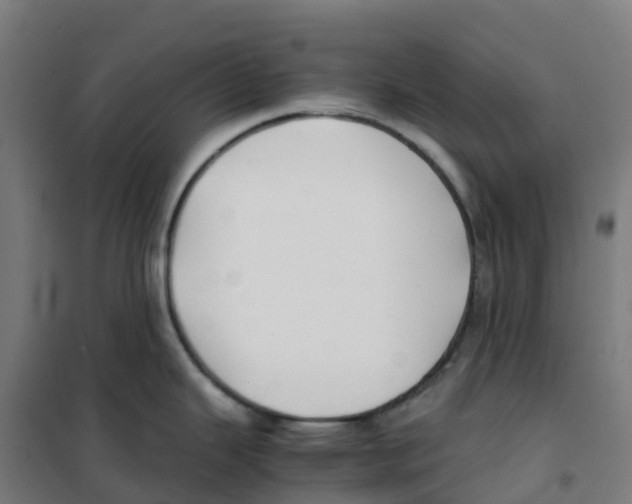 X0000100381343200807031916