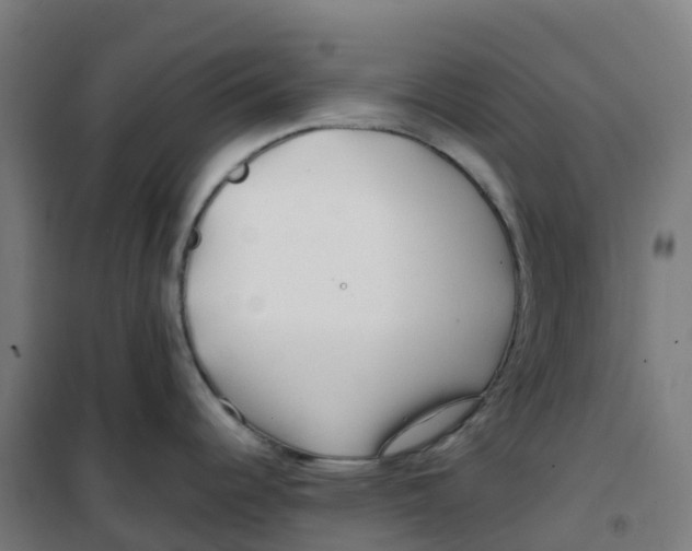 X0000100381344200807031916
