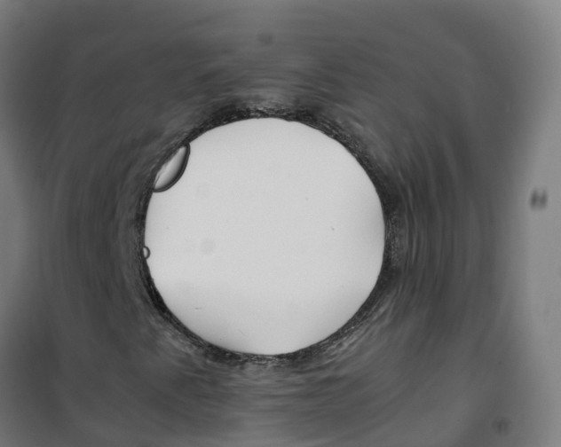 X0000100381345200807031916