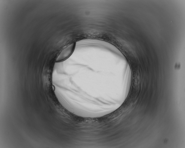 X0000100381346200807031916