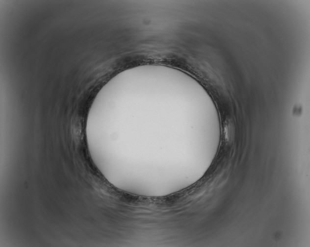 X0000100381347200807031915
