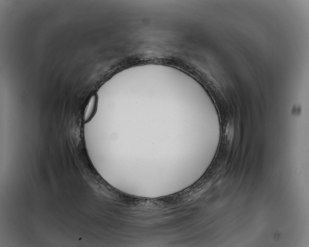 X0000100381348200807031915