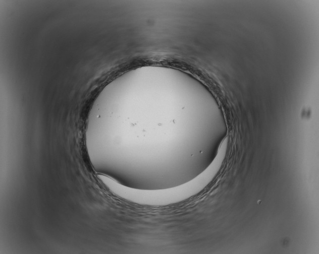 X0000100381349200807031915