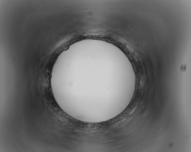 X0000100381350200807031915