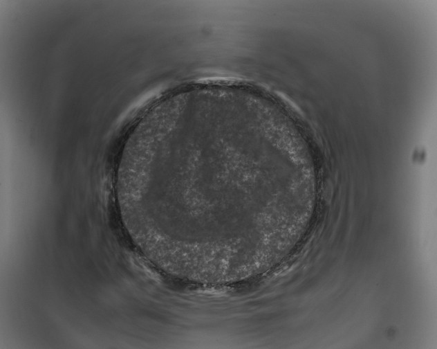 X0000100381351200807031915