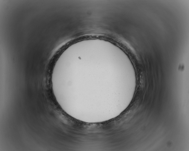 X0000100381352200807031915