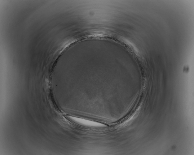 X0000100381353200807031915