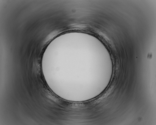 X0000100381354200807031915