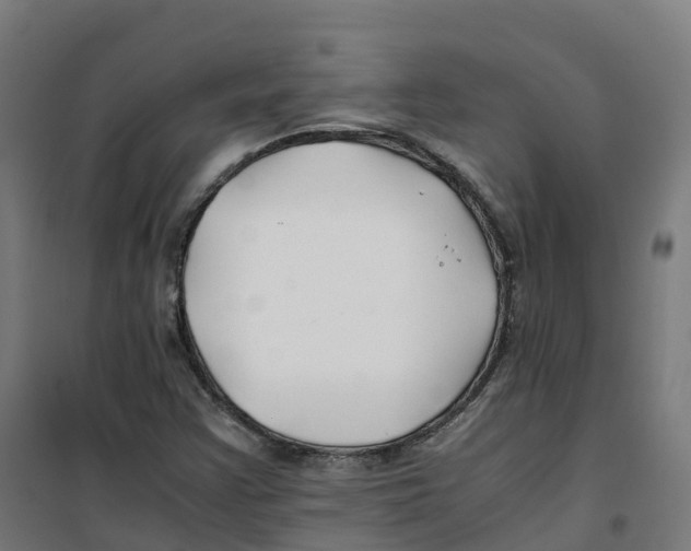 X0000100381355200807031915