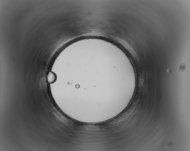 X0000100381356200807031915