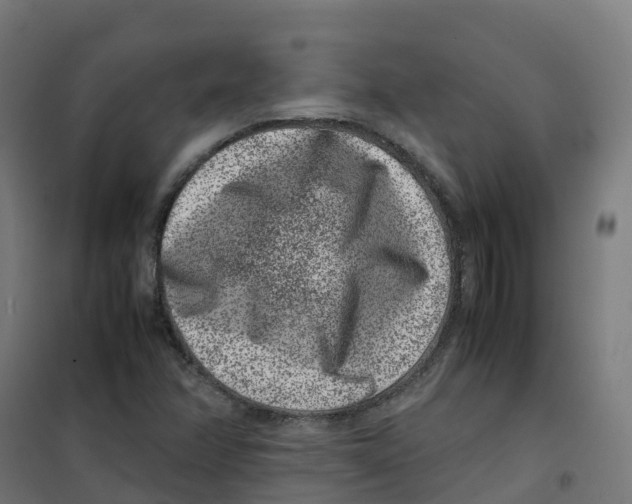 X0000100381358200807031915