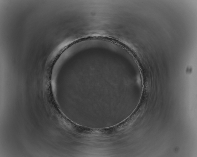 X0000100381359200807031915
