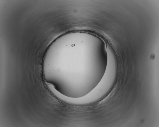 X0000100381361200807031915