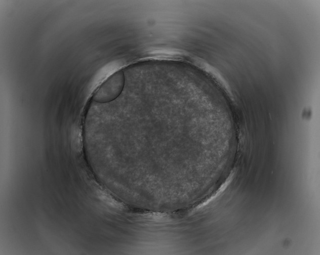 X0000100381362200807031915