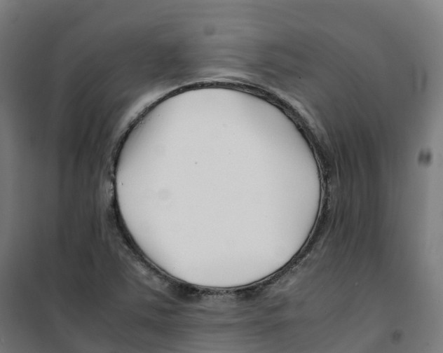 X0000100381363200807031915