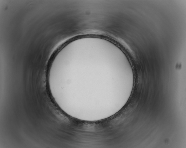 X0000100381364200807031915