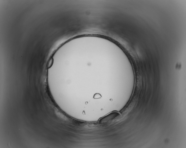 X0000100381366200807031915