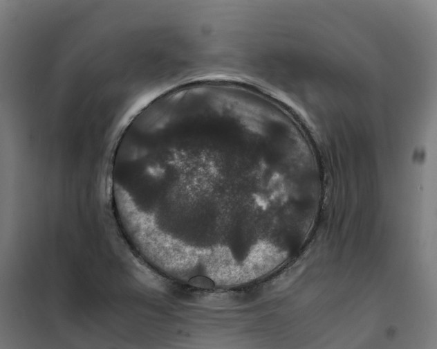 X0000100381367200807031915