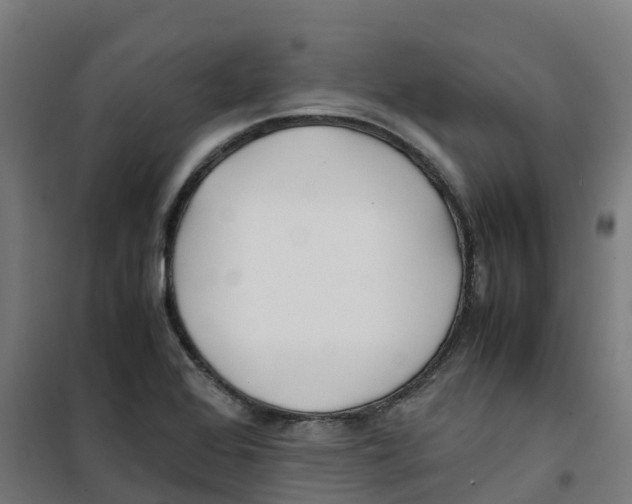 X0000100381368200807031915
