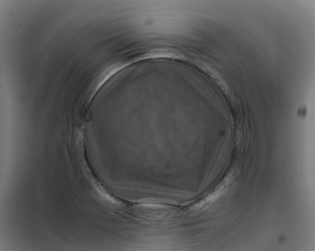 X0000100381369200807031915