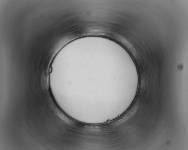 X0000100381370200807031915