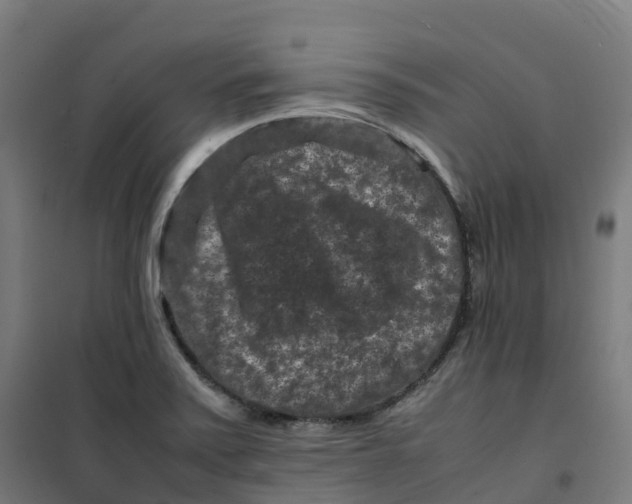 X0000100381371200807031915