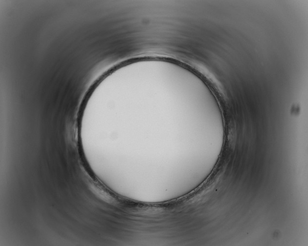 X0000100381372200807031915