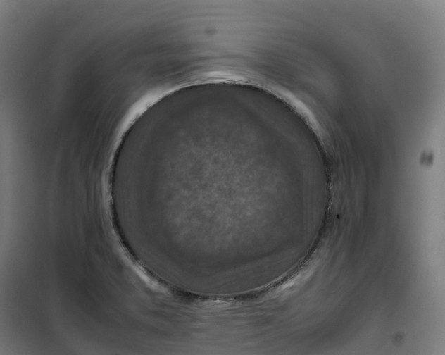 X0000100381373200807031915